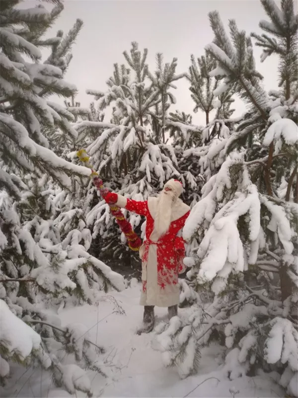 Дед Мороз и Снегурочка в детский сад и на дом! 2